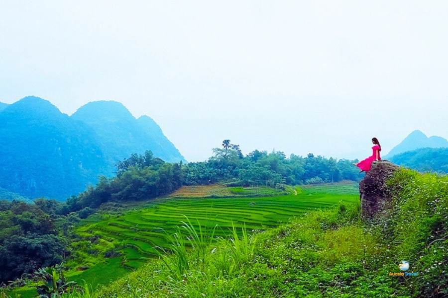 Woman in red dress overlooking green rice terraces in northern Vietnam – Auasia Travel